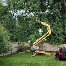 Seasonal Cleanup (Spring/Fall) in North Palm Beach, FL